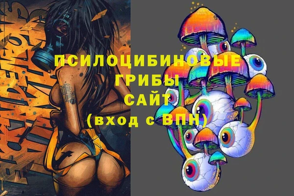 спиды Бронницы